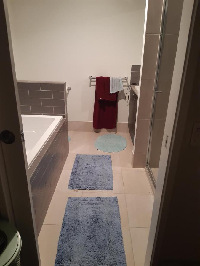 Hampton Homestay Palmview エクステリア 写真